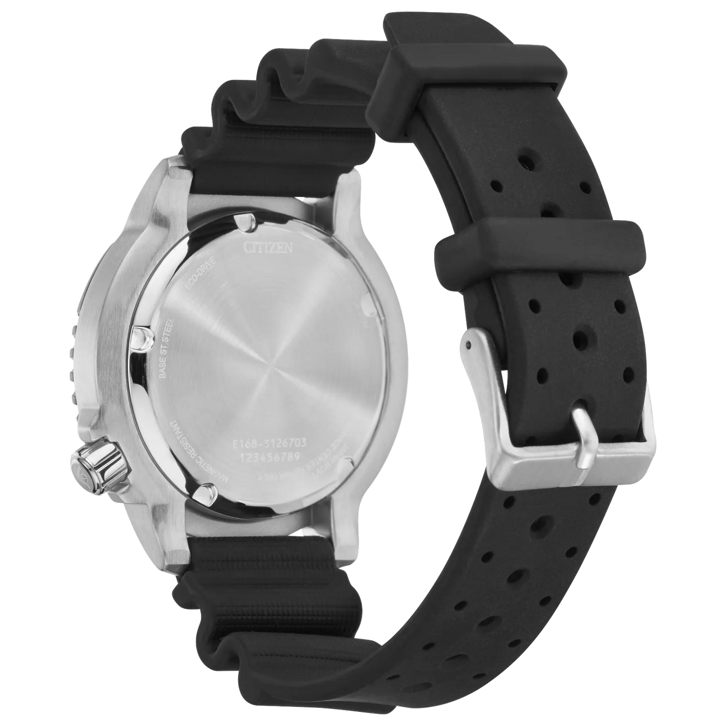 Promaster Dive
