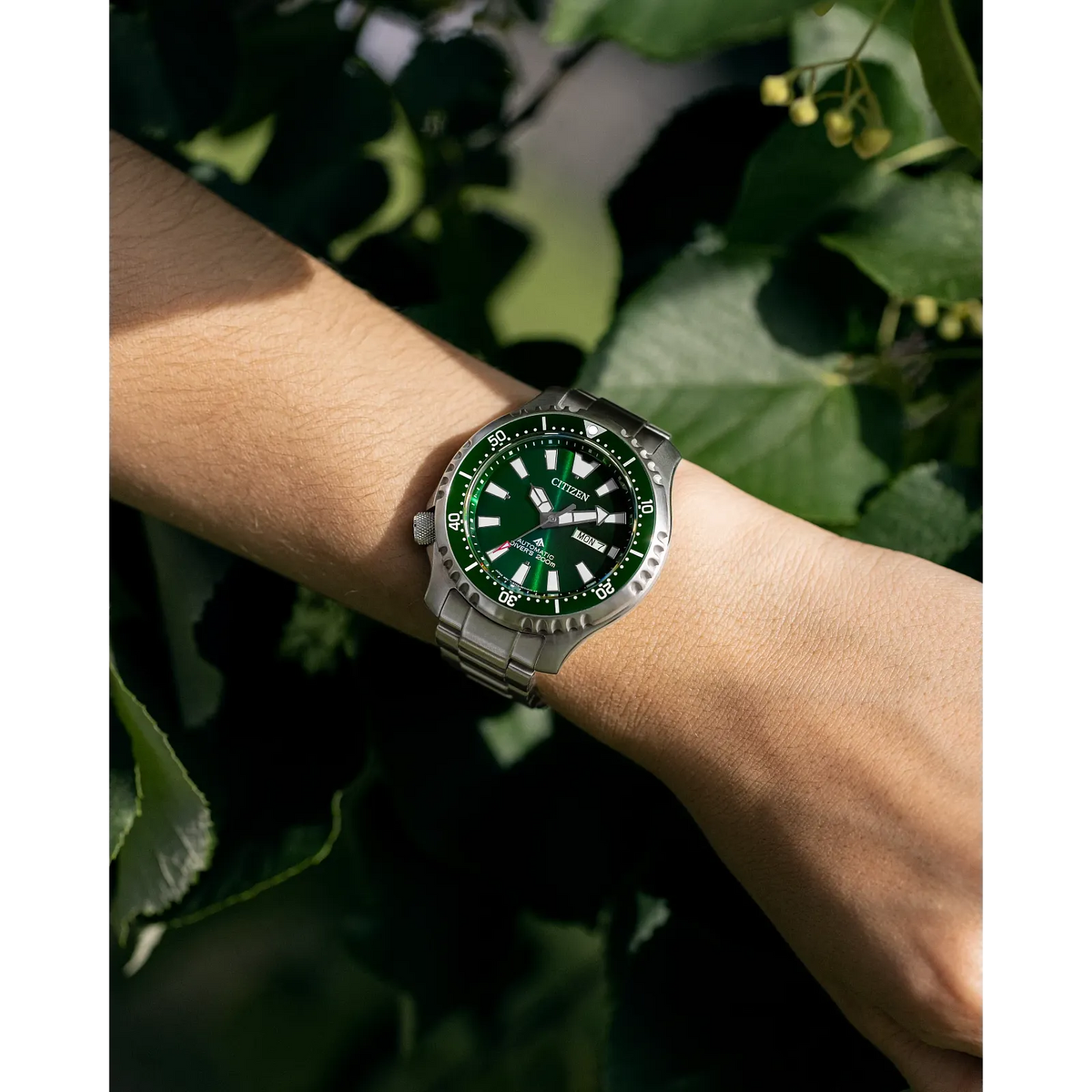 Promaster Dive Automatic