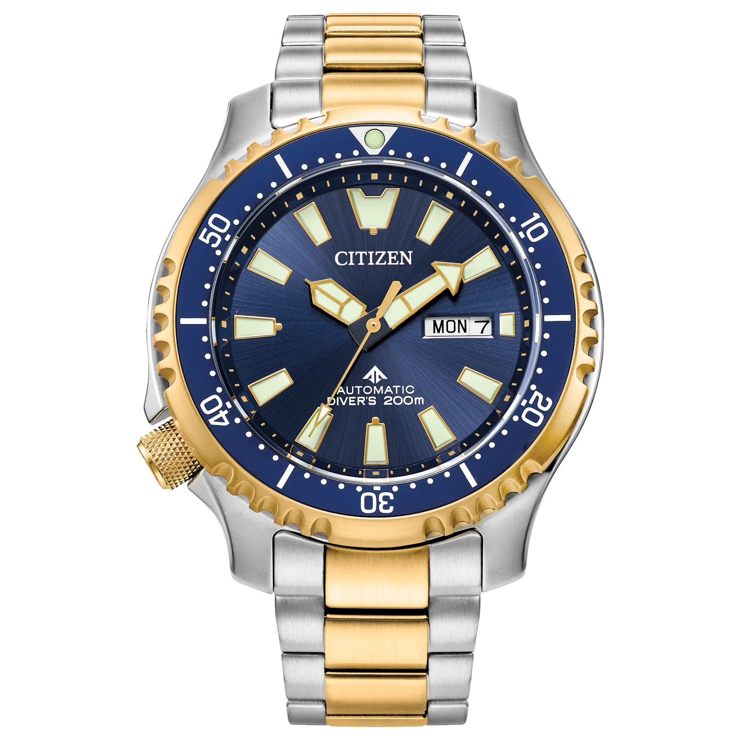 Promaster Dive Automatic