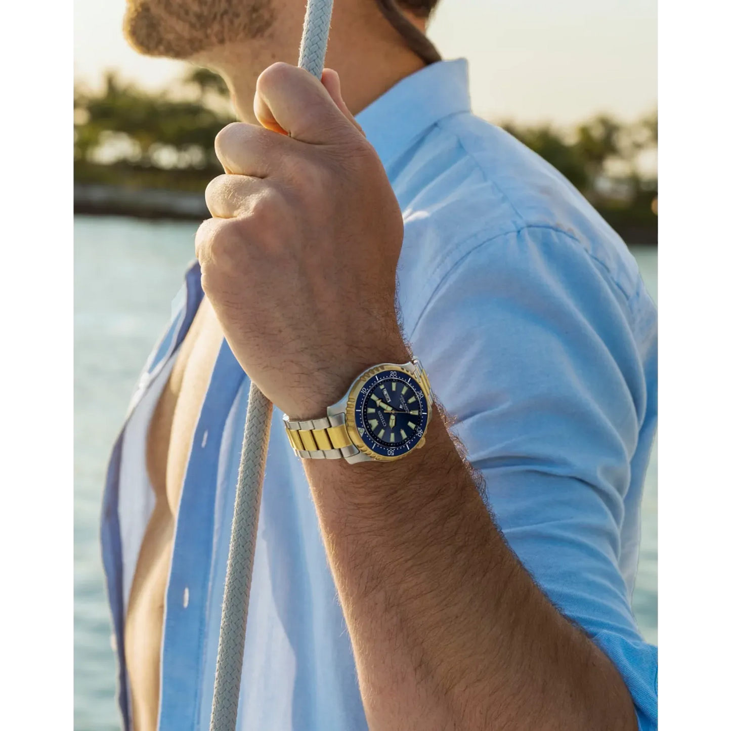 Promaster Dive Automatic