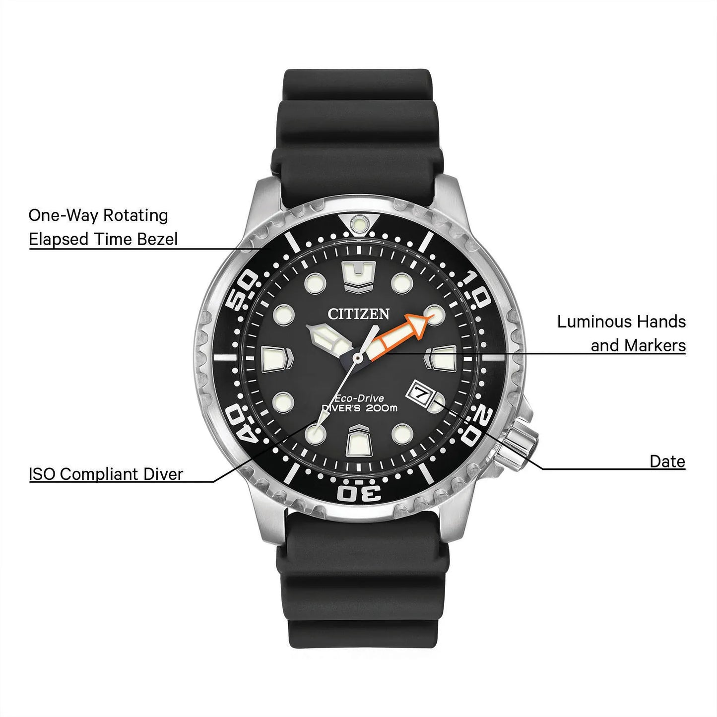 Promaster Dive