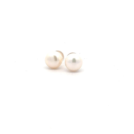 14k Yellow Gold Button Pearl Earrings