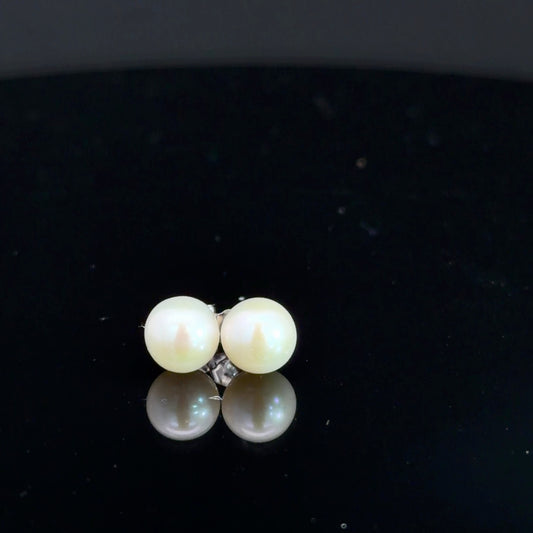 14k White Gold Pearl Studs
